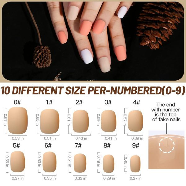 Teenitor Almond Press On Nails, Almond Shape Press On Nails Medium Length, 12 Pack Matte Press On Nails Almond, 12 Color Almond Glue On Nails Press On Almond Fake Nails - Image 9