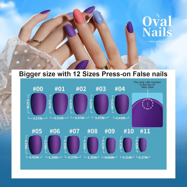 Teenitor Short Oval Press On Nails, 24 Colors Press On Oval Nails, 576pcs Press On Round Fake Nails, 12 Sizes Glue On Nails Short Almond Press On Nails with Nail Glue, Nail Adhesive Tabs - Image 7