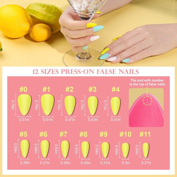Teenitor Short Oval Press On Nails, 24 Colors Press On Oval Nails, 576pcs Press On Round Fake Nails, 12 Sizes Glue On Nails Short Almond Press On Nails with Nail Glue, Nail Adhesive Tabs - Image 16